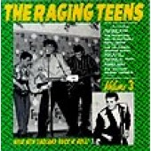 V.A. 'The Raging Teens Vol. 3'  LP
